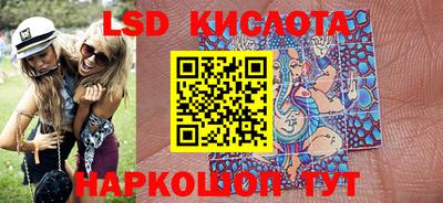 стаф Можга
