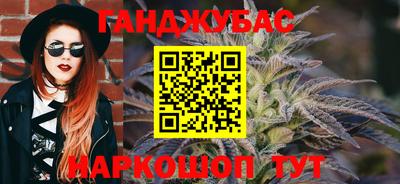 стаф Можга