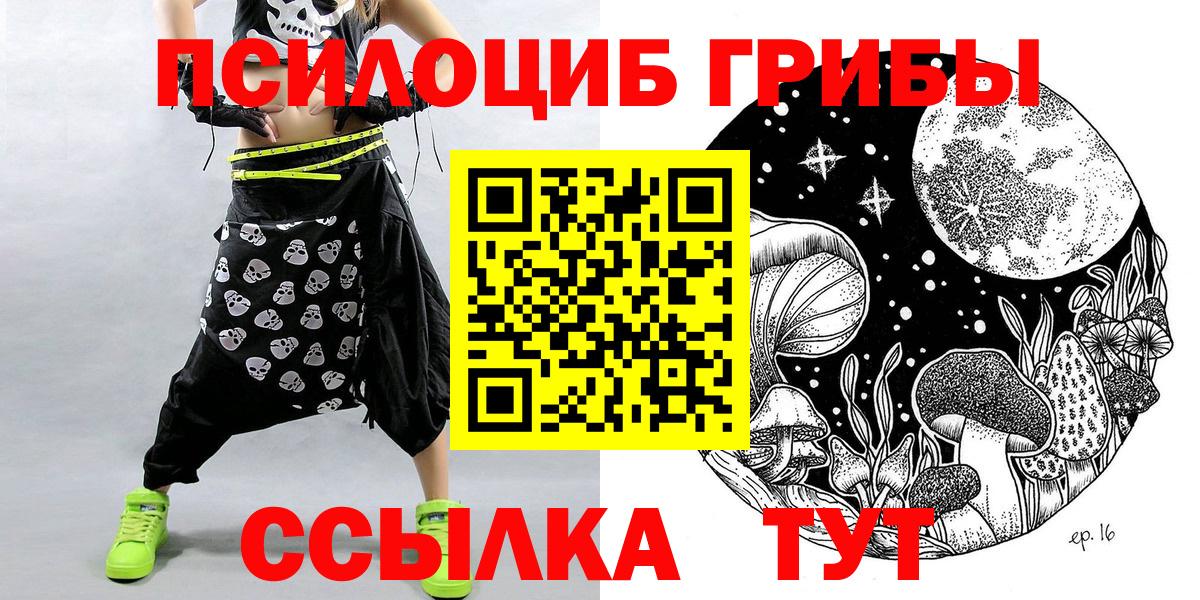 Галлюциногенные грибы прущие грибы  Вход с VPN  Протвино  Псилоцибиновые грибы Psilocybine cubensis 